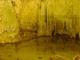 bild 185